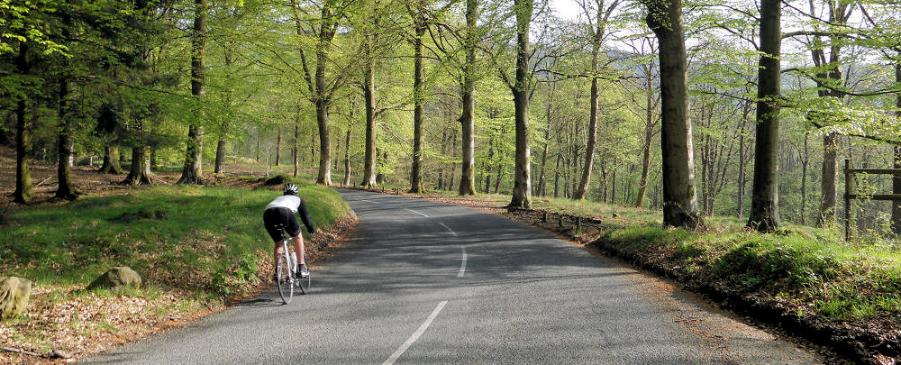 Hawkshead Village Website